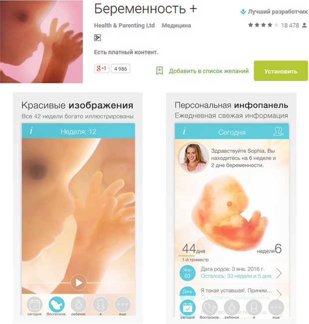 Моя беременность программы Моя беременность программы